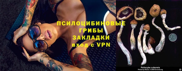 прущая мука Краснотурьинск