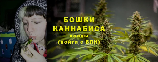 бошки Краснослободск