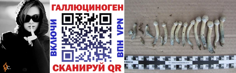Купить закладки  Энгельс  Галлюциногенные грибы мухоморы 